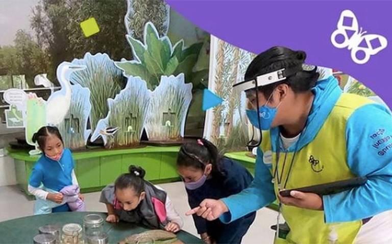 Papalote Museo del Niño, en riesgo de desaparecer por Covid-19