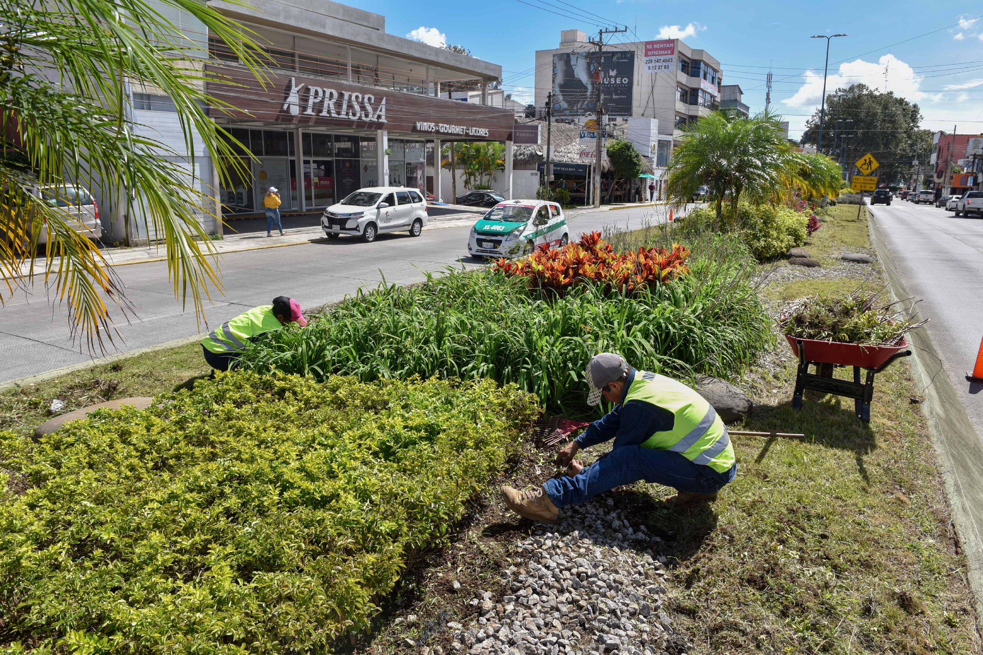 Se suma empresariado a jornada comunitaria de limpieza en Xalapa