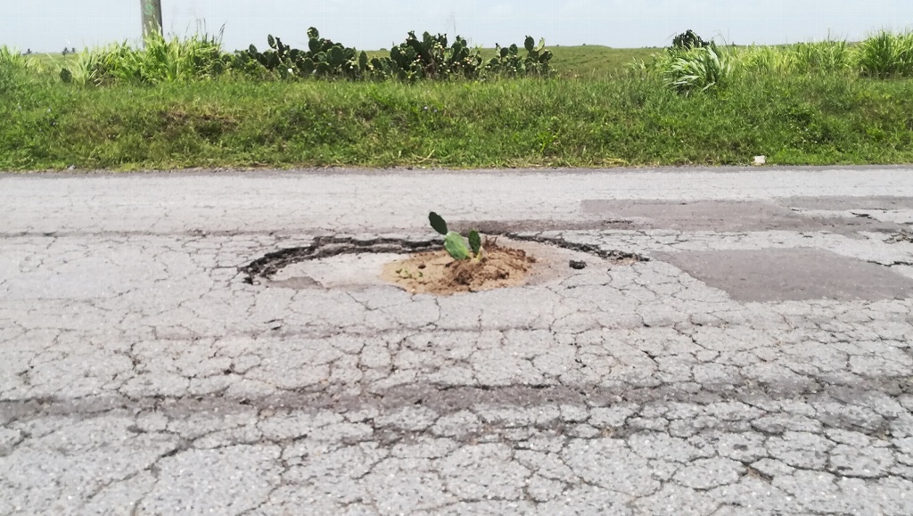 Baches, consecuencia de muchos años de abandono de las calles: Regidor de Xalapa
