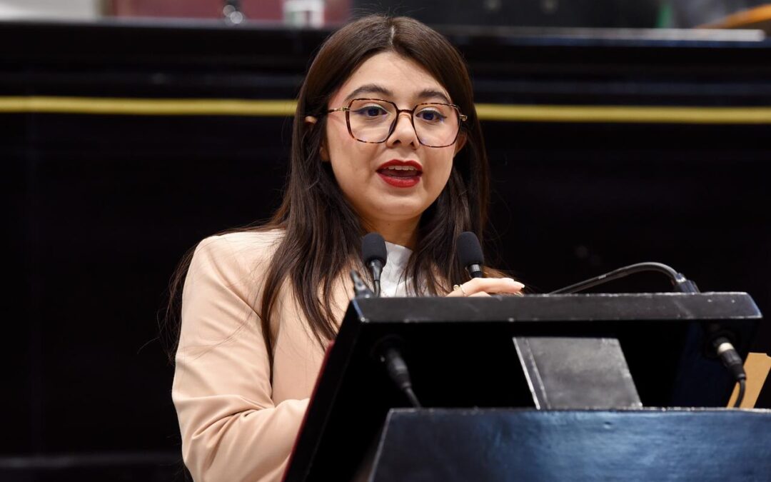 Aspirantes a cargos de elección deberán cumplir con obligaciones alimentarias