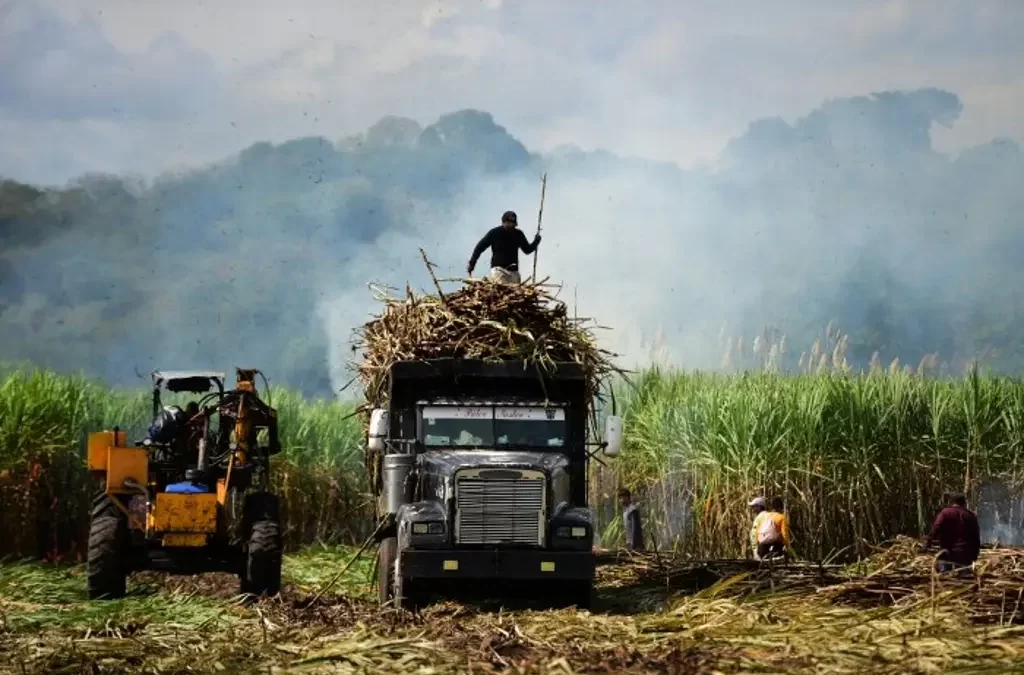 Gobierno federal impulsa proyecto de producción de etanol en Veracruz