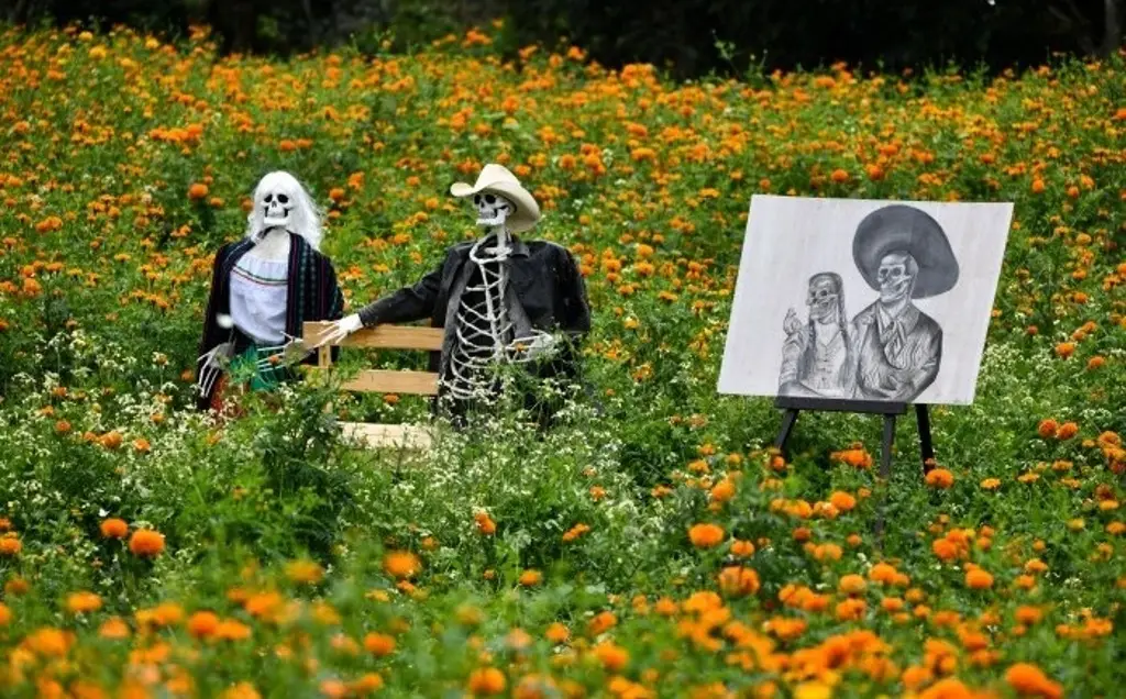 Inician los recorridos por los campos de flor de cempasúchil de San Pablo Coapan