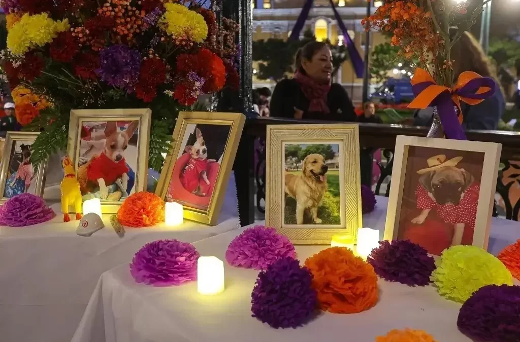 Este lunes se le pone ofrenda a las mascotas por el Día de Muertos
