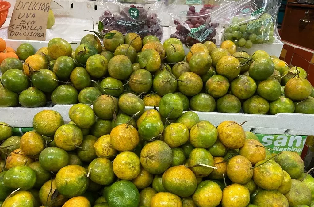 ¿Mandarina subió de precio? Esto cuesta en mercados de Veracruz