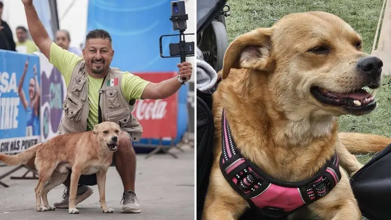 Dueño de «El Chicles», el Perro Maratonista, Entregó Restos a Fiscalía para Investigar su Muerte