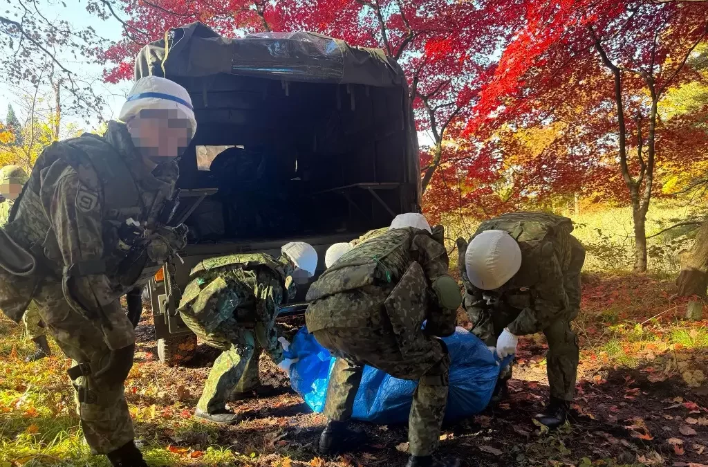 Dan luz verde para matar osos en Japón, tras oleada de ataques