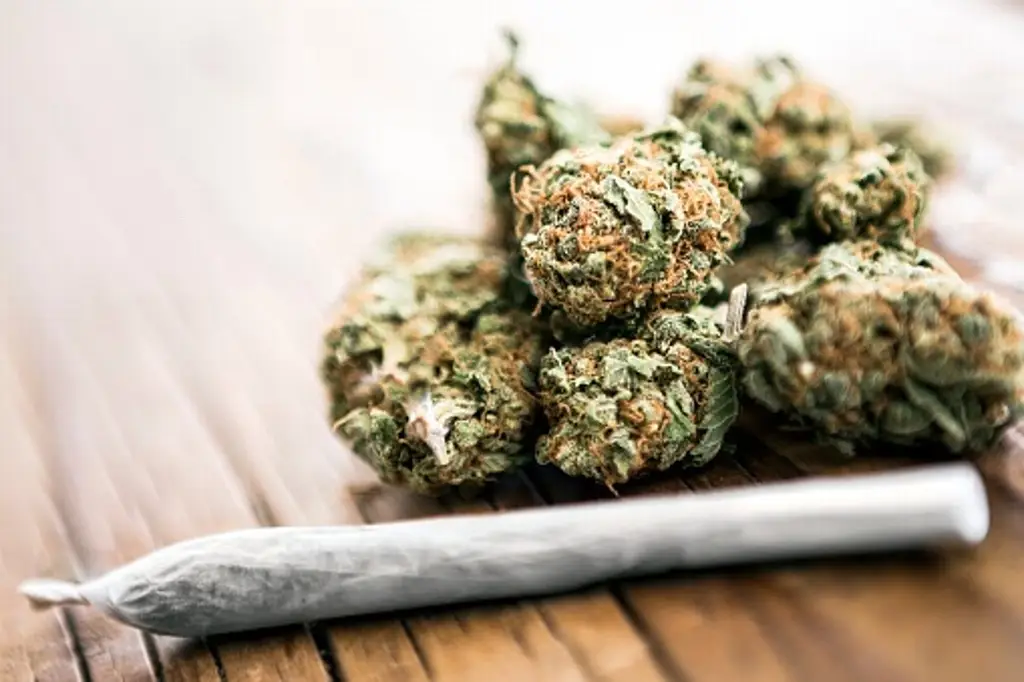 Consumir cannabis en la adolescencia duplica riesgo de trastornos psicóticos y bipolares: Estudio