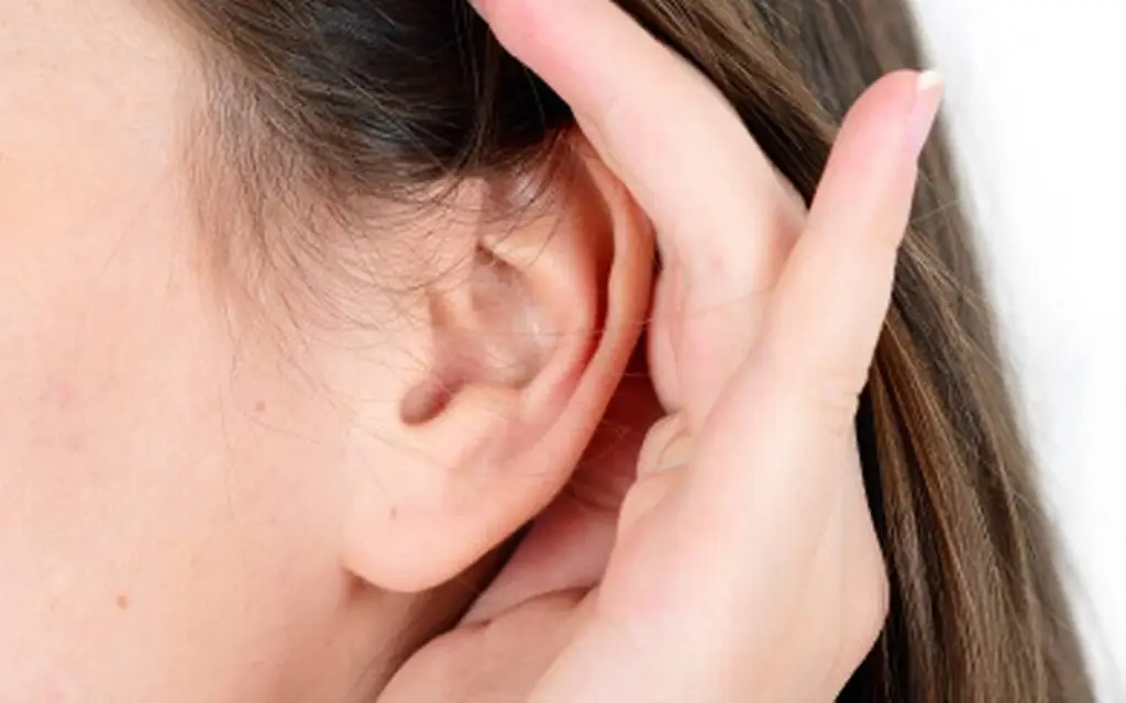Dispositivo permite a personas con discapacidad auditiva «comprender» sonidos