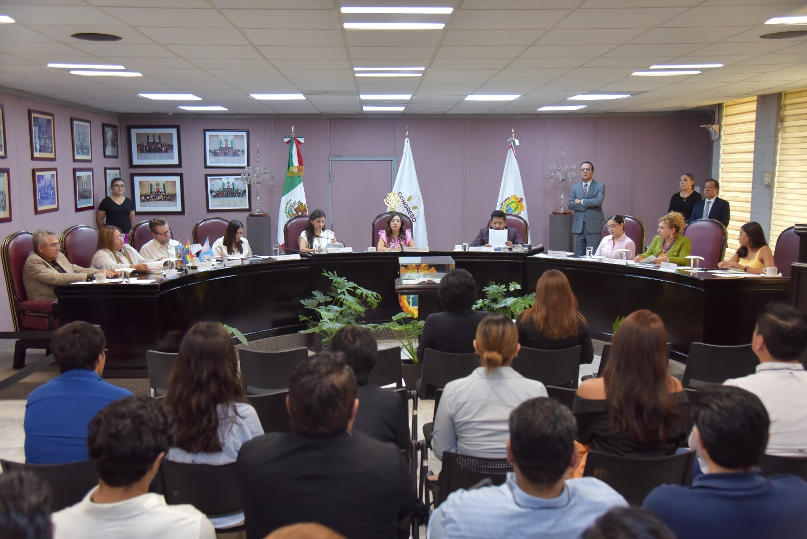 Presenta diputada proyecto de armonización de reforma al Poder Judicial*